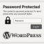 How to Create Password-Protected Pages in WordPress