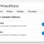 How to Enable Auto-Updates for WordPress Core, Themes, and Plugins